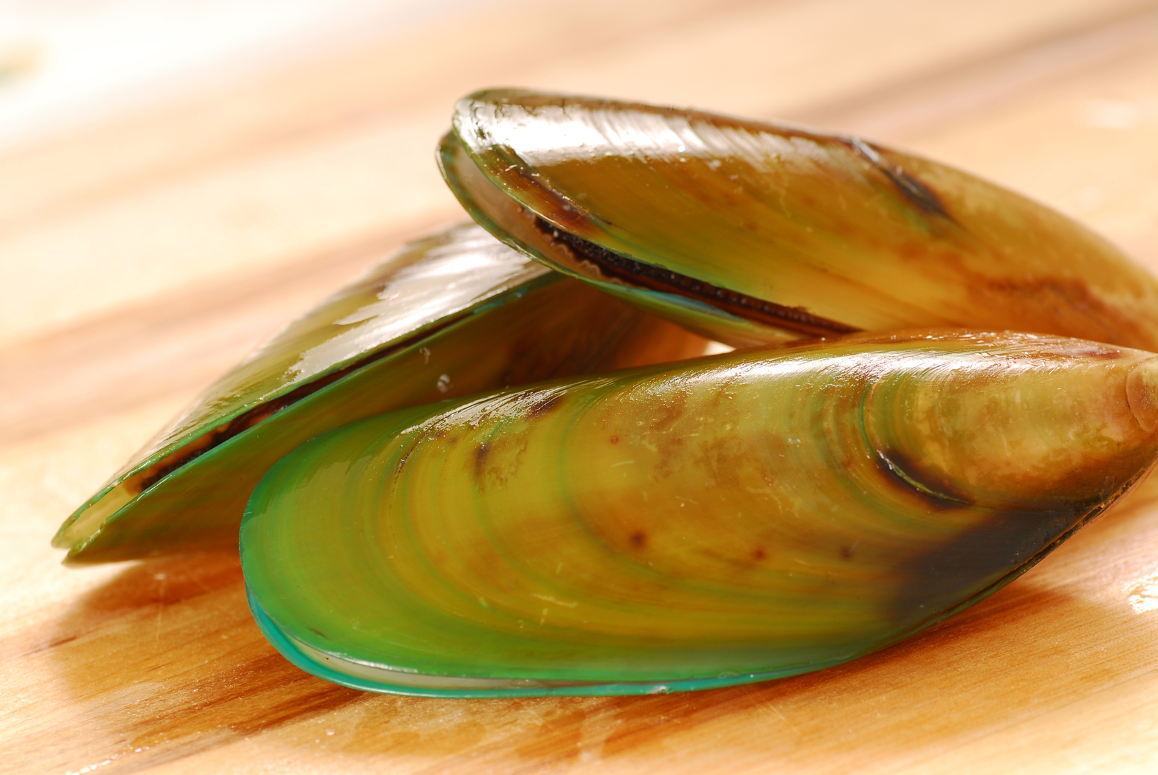 Fresh raw New Zealand Green Lipped Mussel